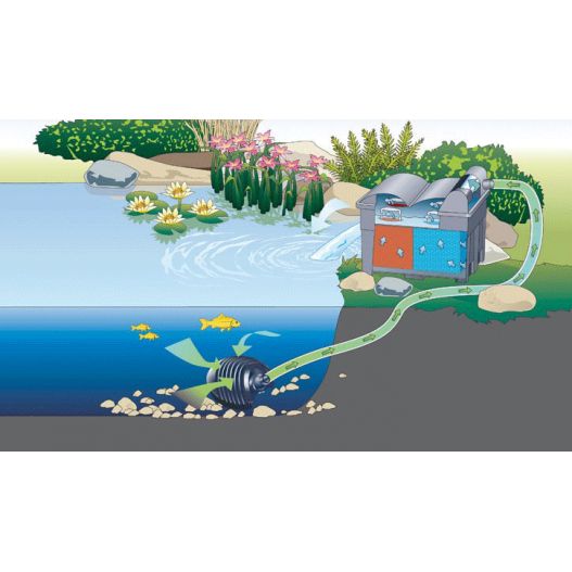 Filtration bassin BioSmart Set 14000 Oase - Expert Bassin - Expert Bassin