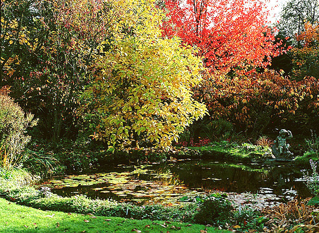 Entretien d'automne