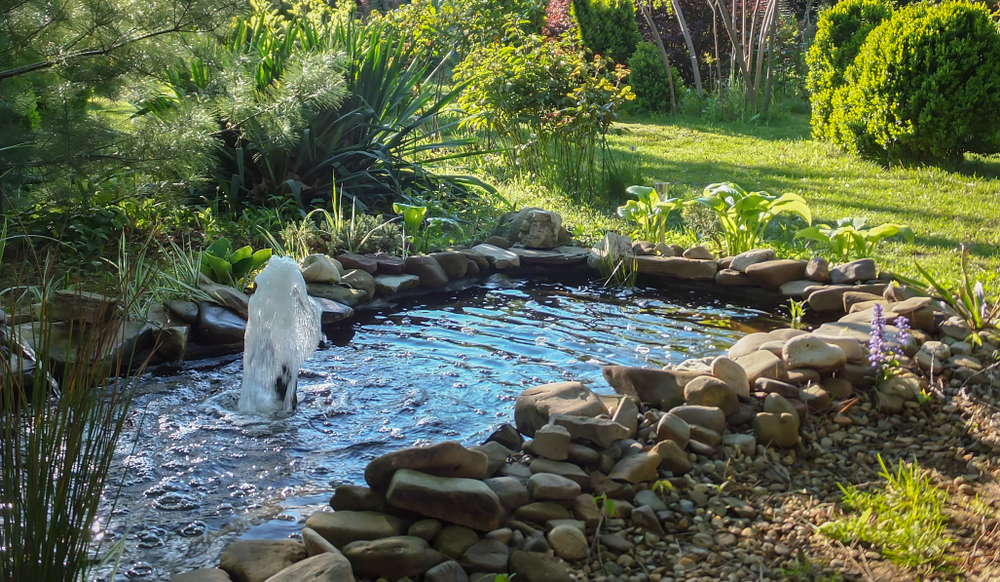 Le respect des espaces et volume bassin/jardin