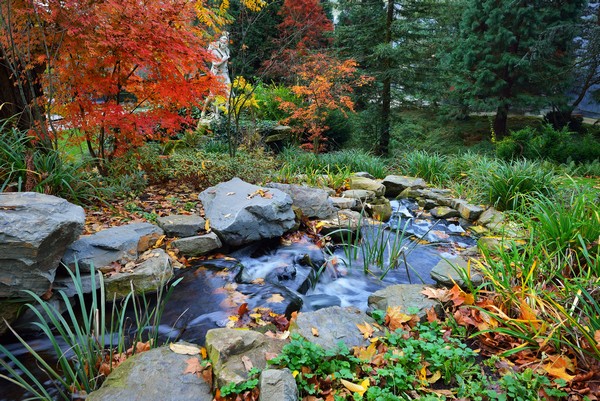 La meilleure saison pour construire son bassin de jardin, c'est l'Automne ! 